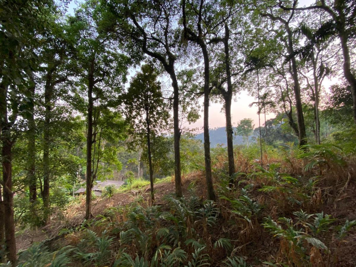 Nature Cool Villas Kallar Vattiyar Buitenkant foto